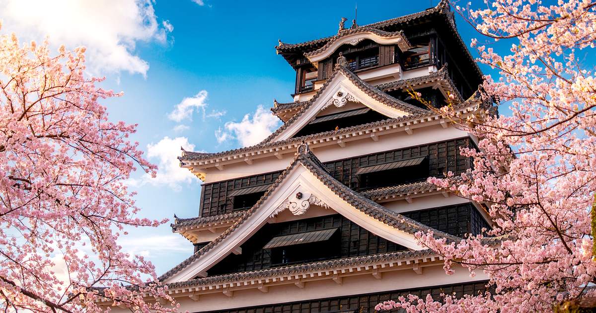 Kumamoto Cherry Blossom Tour from Fukuoka: Castle, Suizenji